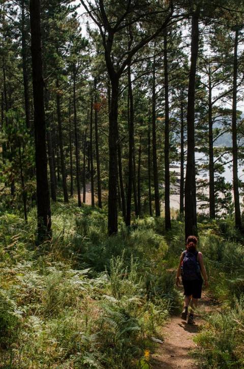 Ruta da Insua - Xaviña