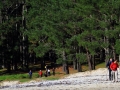 Ruta da Insua - Xaviña
