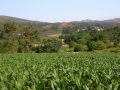 Ruta da Insua - Xaviña