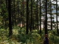 Ruta da Insua - Xaviña