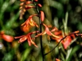 x-130714-emilioromanos-038