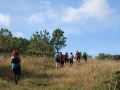 pa130804-093