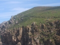 pa130804-137