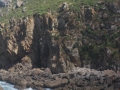 pa130804-138