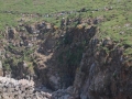 pa130804-142