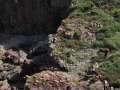 pa130804-151