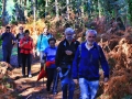 Rural - Tasaraño, Dor y Allo
