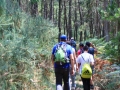 Rural - Tasaraño, Dor y Allo