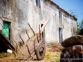 Rural - Tasaraño, Dor y Allo