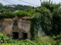 Rural - Tasaraño, Dor y Allo