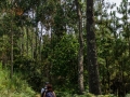 Rural - Tasaraño, Dor y Allo