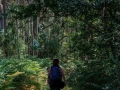 Rural - Tasaraño, Dor y Allo