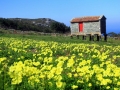 Aldea do Roncudo