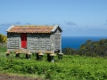 Aldea do Roncudo