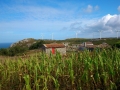Aldea do Roncudo