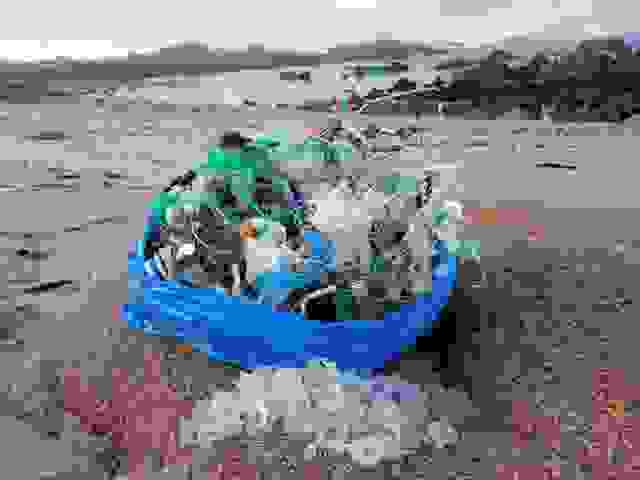 Asociación-Mar-de-Fábula-24