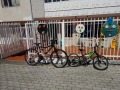 Asociación-Mar-de-Fábula-08