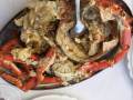 Bar-Restaurante-Rotterdam-15