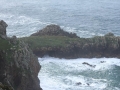 pa130126-171