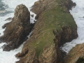 pa130126-184