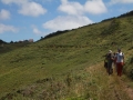 pa130804-274