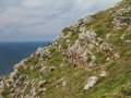 pa130804-332