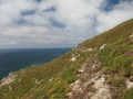 pa130804-333