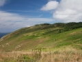 pa130804-334