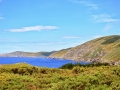 DSC_0296