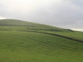 pa130111-130