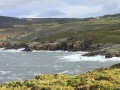 pa130111-136
