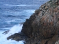 pa130111-160