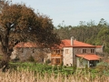 Casa de Trillo 23
