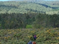 Monte Castelo de Lourido