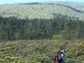 Monte Castelo de Lourido