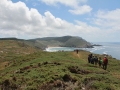 pa130804-237