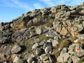 Costa de Nariga