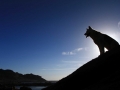 repaso-5-etapa-2013-06-21-040-copia