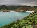 Praia do morro
