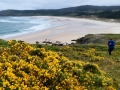 Beach-1