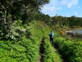 Trail-P1000755