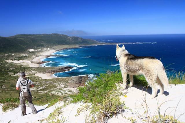 Duna de Monte Branco