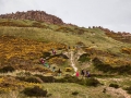 Duna de Monte Branco