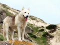 Duna de Monte Branco
