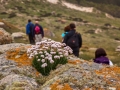Duna de Monte Branco