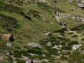 Duna de Monte Branco
