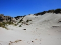 Duna de Monte Branco