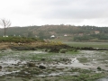 Ensenada da Basa