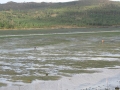 Ensenada da Basa