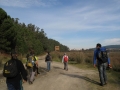 Estuario do Río Anllóns